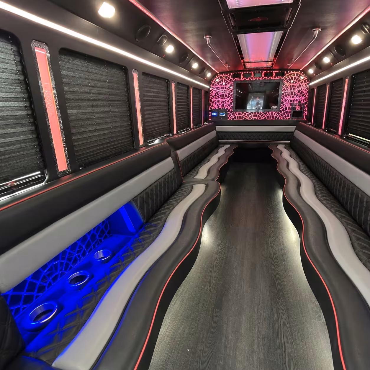 15 passenger party bus interior