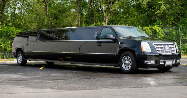 Shreveport 20 Passenger Limo